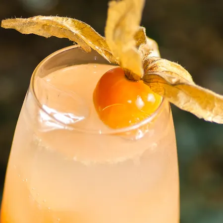 酒店 八啪拉吉酒店