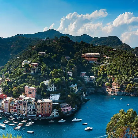 酒店 八啪拉吉酒店 5*