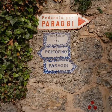 Eight Paraggi